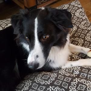 Meet your Posher, Sandi